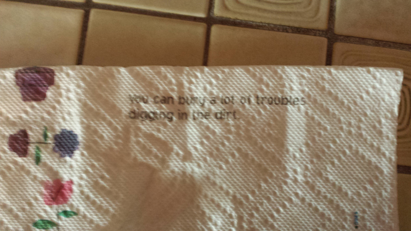Illustration for article titled Is this paper towel suggesting what I think it is suggesting?